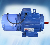 Vibration Motor in India