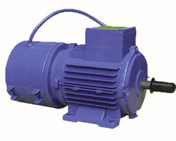 Vibration motor in india